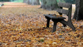 Herbstliche Aussichten am Anleihemarkt