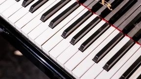 Was machen die vielen Pianisten nach dem Studium?
