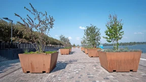 Mainz plant grüne Uferpromenade