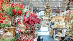 Die Memoiren des Sunflower-Gründers