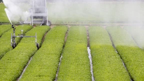 Industrie und Bauern warnen vor Wassercent in Hessen