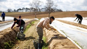 Blüht die deutsche Wirtschaft auf?
