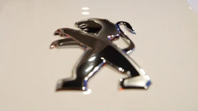 Löwe, vom Blitz geschlagen