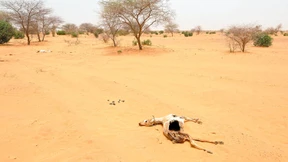 Klimawandel erschwert armen Staaten Kreditzugang