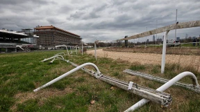 DFB plant Suche nach anderen Standorten