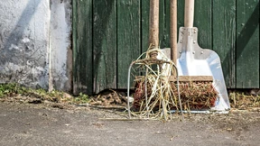 Ich lebe im Dorf, holt mich hier raus