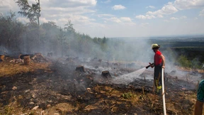 Zahl der Waldbrände verdoppelt