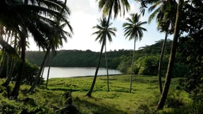 Buschbier in der Palmenhütte