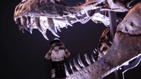 Darf es ein Dinosaurier im Depot sein?