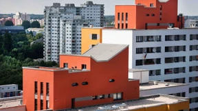 Berlin: Exoten ganz oben