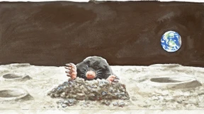 Freie Fahrt für freie Weltraumbürger?