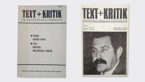 Die Literatur ohne Tendenz betrachtet