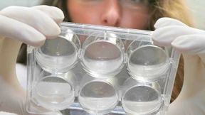 Die Waisenkinder der Pharmabranche