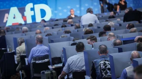 AfD prüft Europawahlkandidaten