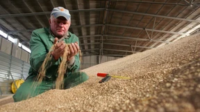 Wieso jetzt der Damm bricht