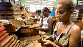 Shakespeare in der Tabakfabrik 