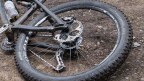 Überhitzte Mountainbike-Bremsscheibe verursacht Waldbrand