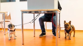 Keiner da, der zieht