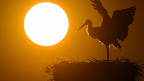 Eine Gesellschaft, die die Natur bewahrt - geht das?