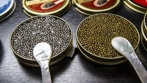 Die Vorräte der Freude