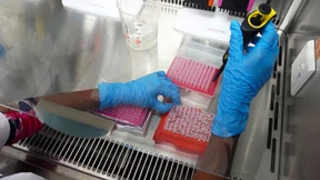 Was über die neue Corona-Variante bekannt ist