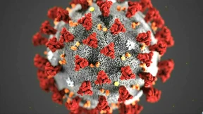 Drei Neuinfektionen allein in Frankfurt bestätigt