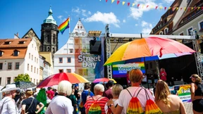 Regenbogenfahne über Pirna