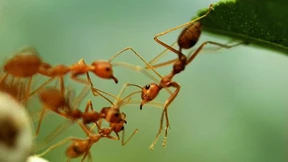 Der Effizienzcluster LogistikRuhr will die Logistik zum selbstbewussten Innovationstreiber entwickeln