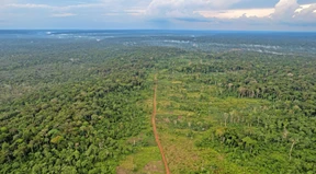 Das Gesundheitskonzept gegen weitere Pandemien