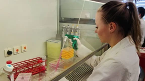 Plötzlich Expertin für das Virus