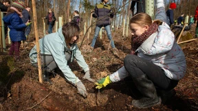 Waldliebe mit praktischen Folgen