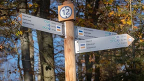 Individueller Wanderspaß im Taunuswald