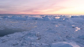 Kapital als Katalysator gegen den Klimawandel