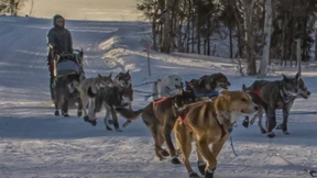 Acht Tage, drei Stunden, 40 Minuten