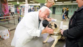 Zum Impfen in die B-Ebene