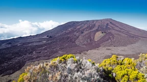 Friedhofsmarathon an Allerheiligen