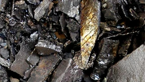 Lieferung Seltener Erden bleibt ausgesetzt