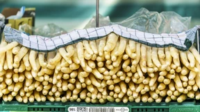 Die Spargel-Begeisterung der Deutschen lässt deutlich nach