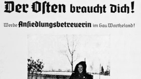 Unersättliche  Sekretärinnen?