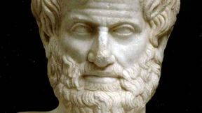 Weiße Gelehrte unerwünscht