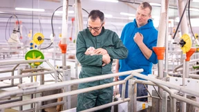 Nur grün angehaucht