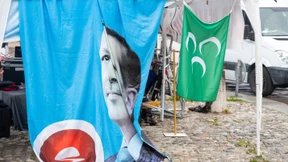 Einen Grauen Wolf erkennen