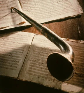 Meerrettich in den Ohren