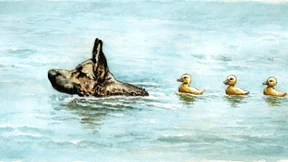 Im Rechtsstaat sollte kein Posten heilig sein