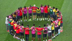 Die neuen unzähmbaren Löwen sind hungrig