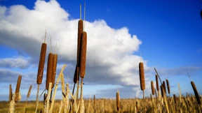 Die Vernässung der Welt