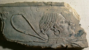 Kapitalismus und Sklaverei