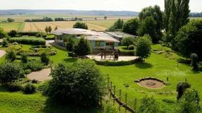 Grau und Schwarz sind out, Rabatte auch