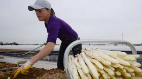 Kaum Belege für Missbrauch durch Einwanderer