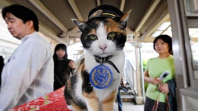 Japan trauert um Bahnhofsvorsteherin Tama